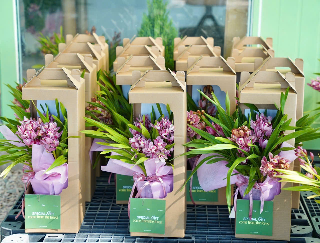 A group of boxes with flowersAI-generated content may be incorrect.