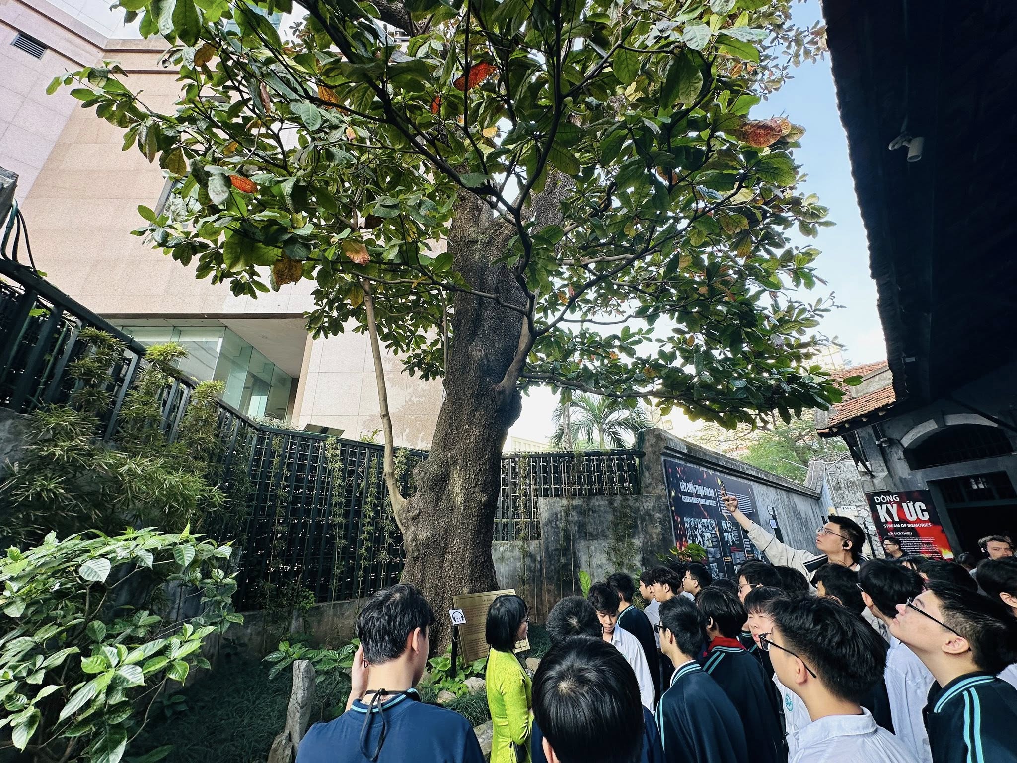 May be an image of one or more people and tree