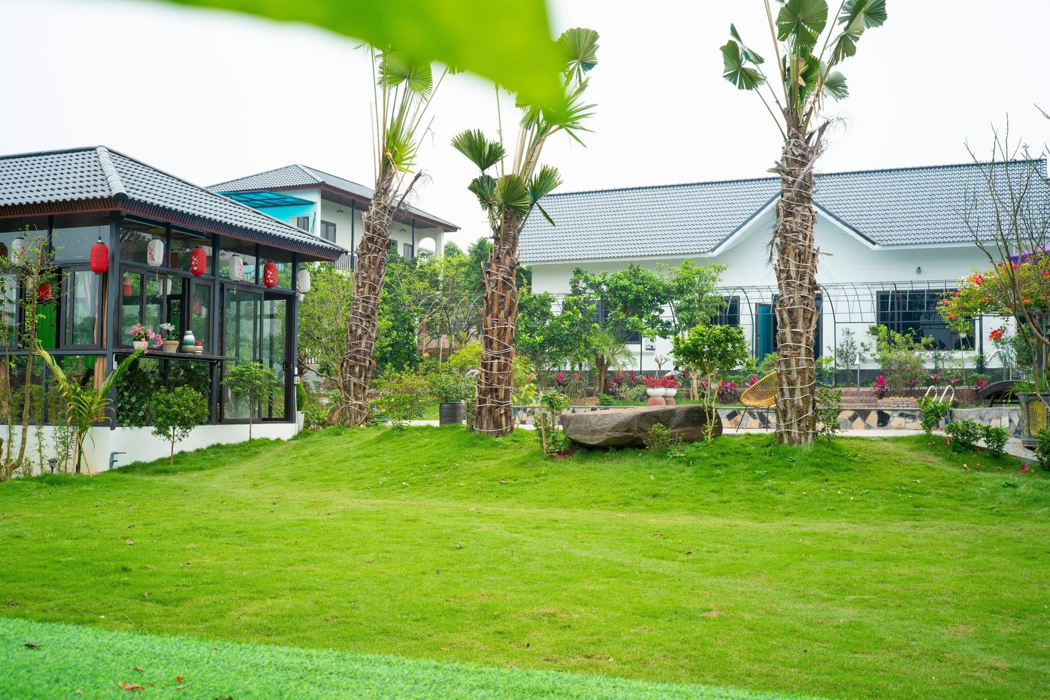 Không có mô tả ảnh.